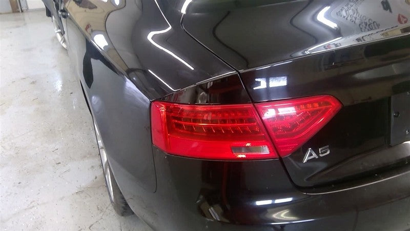 Passenger Corner/Park Light Fog-driving Fits 13-16 AUDI A5 1648627