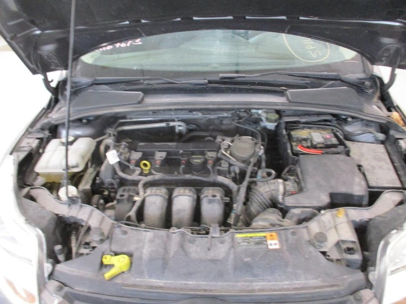FOCUS     2013 Seat Belt Rear 1642006