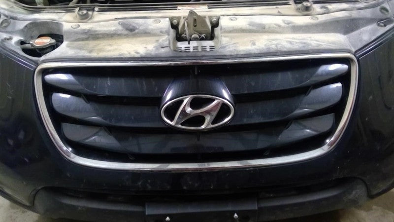 Grille Painted Bars Fits 10-11 SANTA FE 1740406