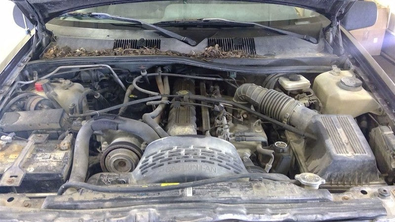 Power Steering Pump 6 Cylinder Fits 93-95 GRAND CHEROKEE 1705496