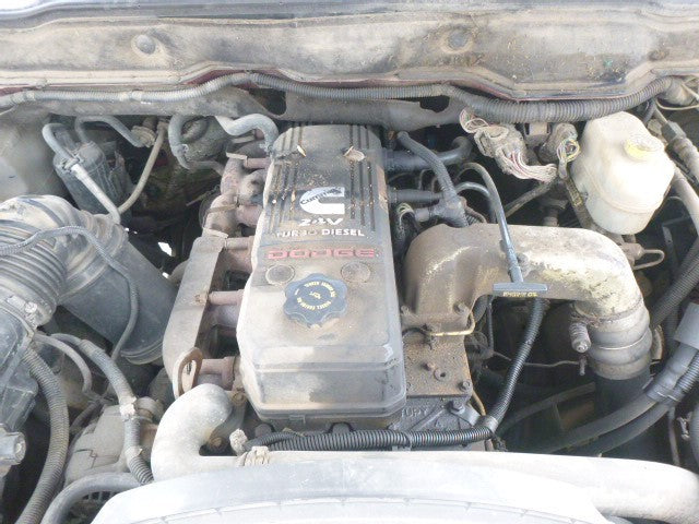 Driver Front Door Switch Driver's Quad Cab Fits 03-10 DODGE 3500 PICKU