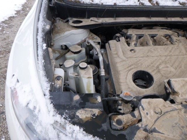 Passenger Right Headlight Halogen Fits 09-10 MURANO 1069179