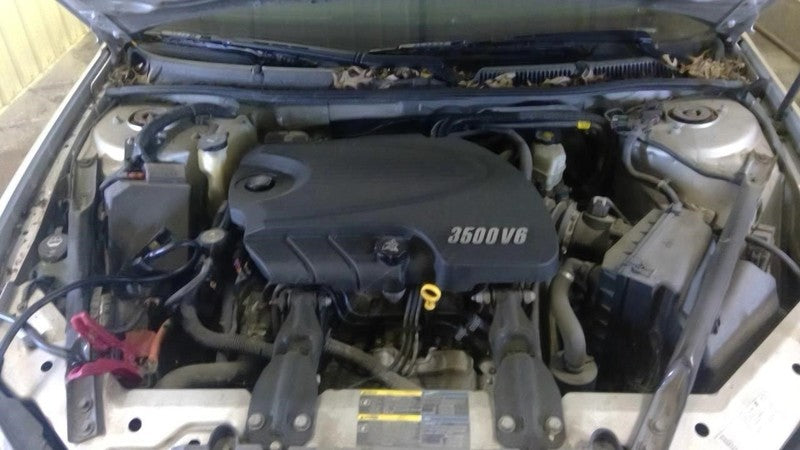 IMPALA    2008 Seat Belt Rear 1998446