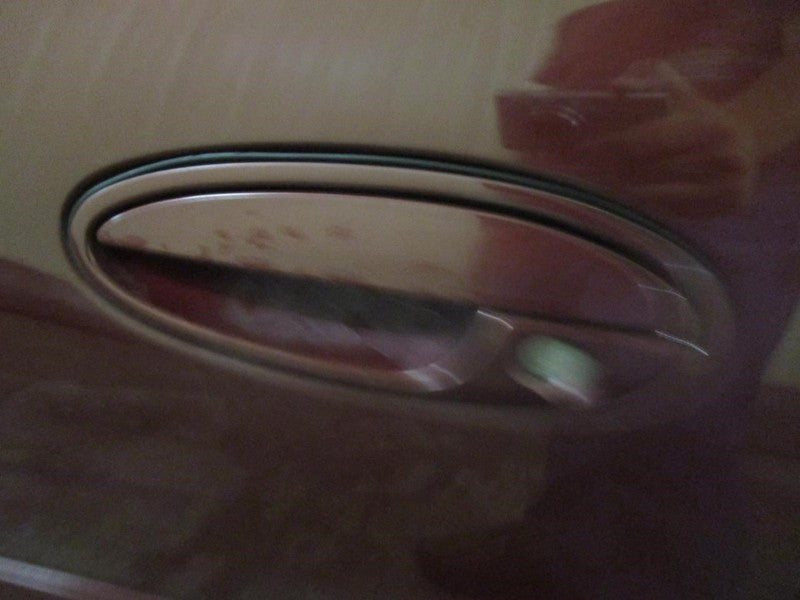 CENTURY   2001 Front Door Trim Panel 2040032