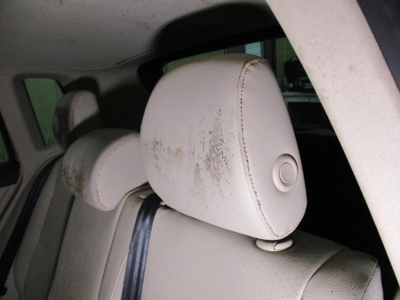 Volkswagen Tiguan 2012 Headrest Used 9599
