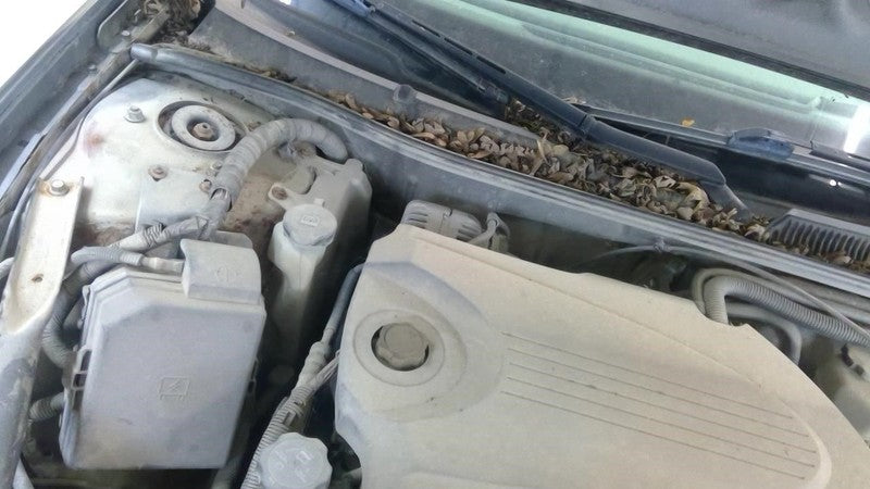 Coolant Reservoir Fits 06-10 IMPALA 2008555