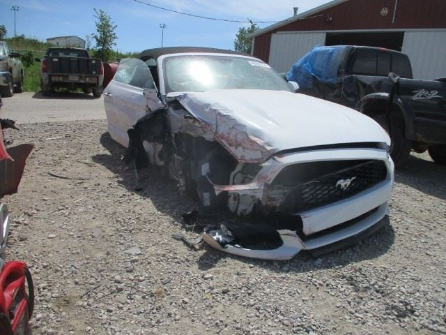 MUSTANG   2016 Front Door Trim Panel 1574147