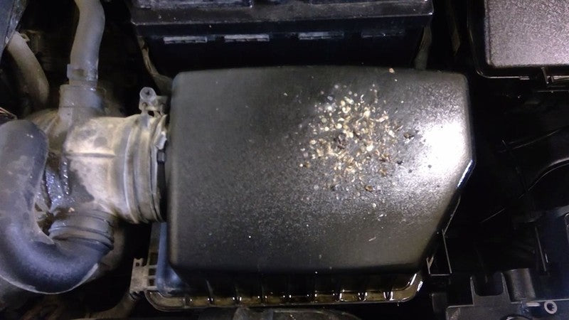 Automatic Transmission 1.8L Sedan ID 450026336 Fits 14-15 FORTE 169322