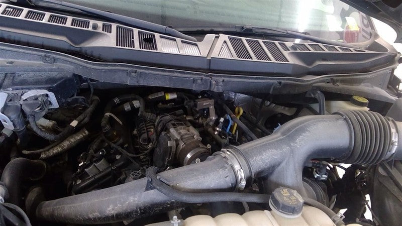 F150      2021 Seat Belt Rear 1654413