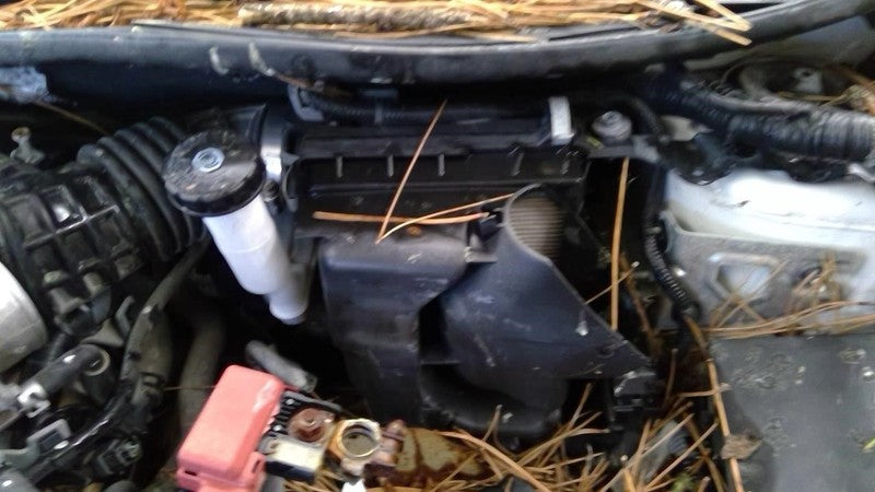 Driver Left Front Door Glass Fits 13-19 SENTRA 2030345