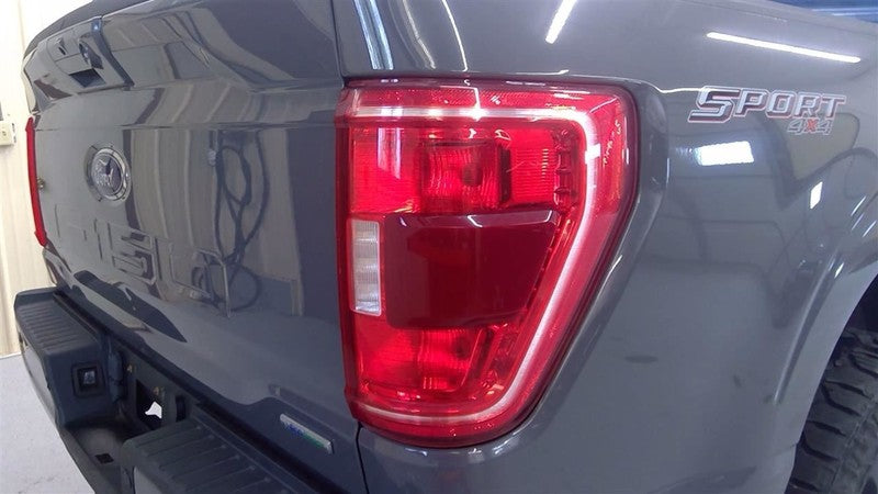 F150      2021 Seat Belt Rear 1654413