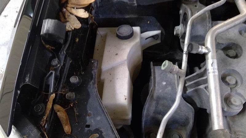 Automatic Transmission CVT Thru 9/08 California 2WD FWD Fits 09 ROGUE 