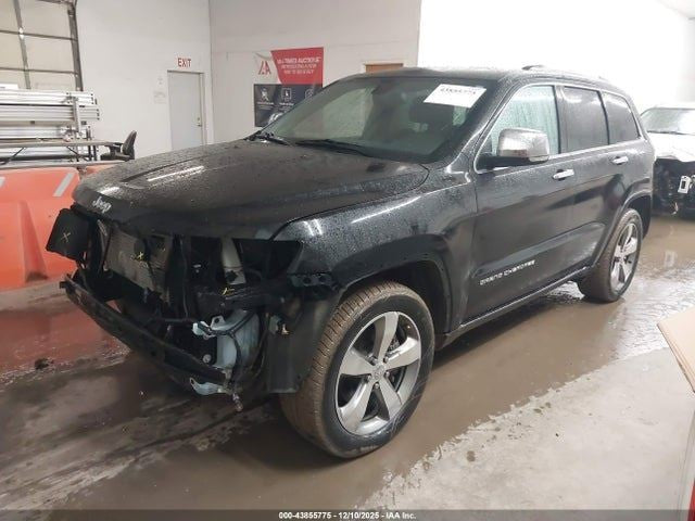 GRANDCHER 2014 Seat Belt Rear 1869509