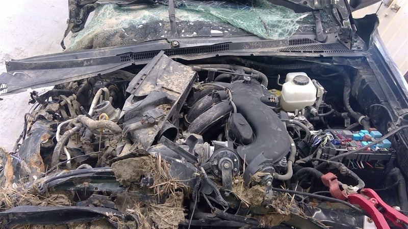 Driver Front Window Regulator Crew Cab 4 Door Rear Fits 05-23 TACOMA 1