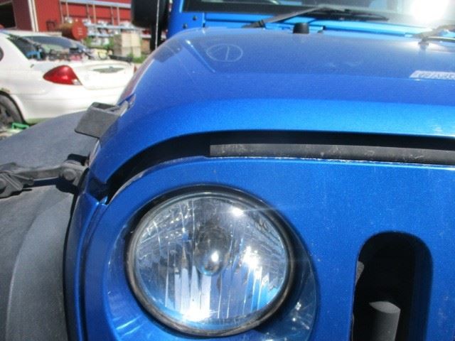 WRANGLER  2016 Door Trim Panel Rear 1572459