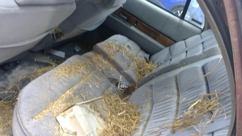 Buick Lesabre 1992 Headrest Used 1137