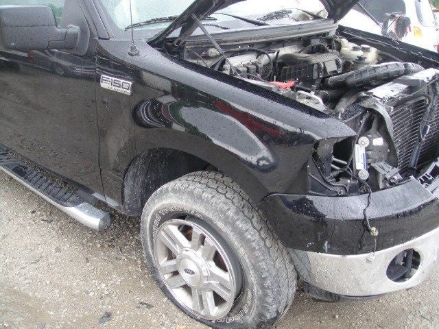 2006 FORD F-150 Passenger Side Rear Inner Door Trim Panel Gray