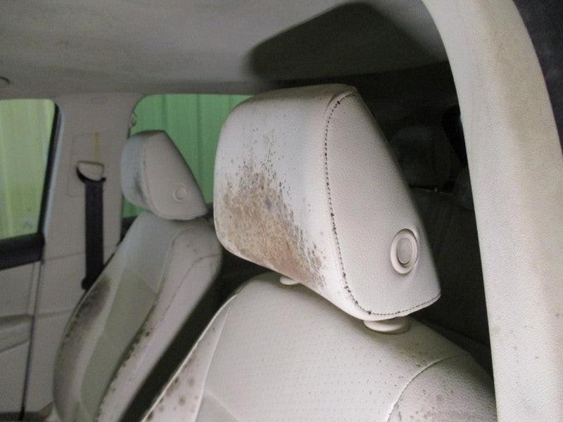 Volkswagen Tiguan 2012 Headrest Used 9597