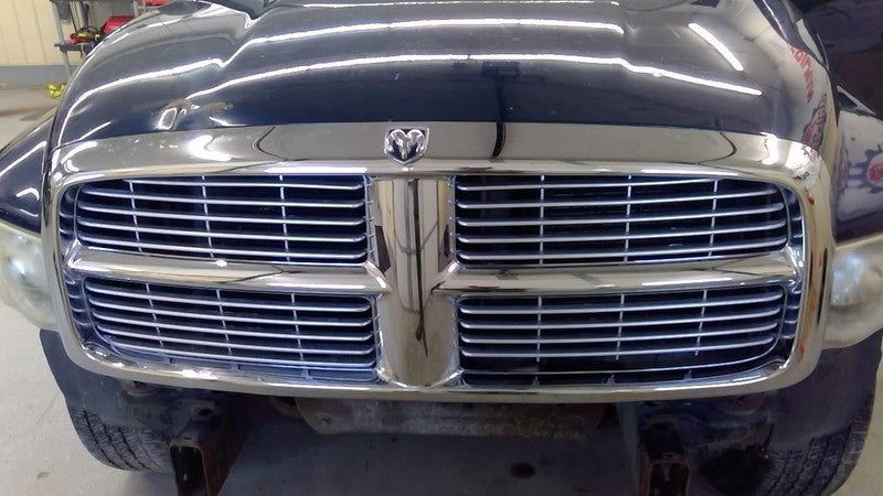 RAM1500   2004 Front Door Trim Panel 2033027