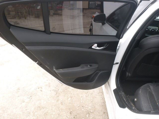 2020 Kia Stinger Driver Side Rear Left Inner Trim Door Panel