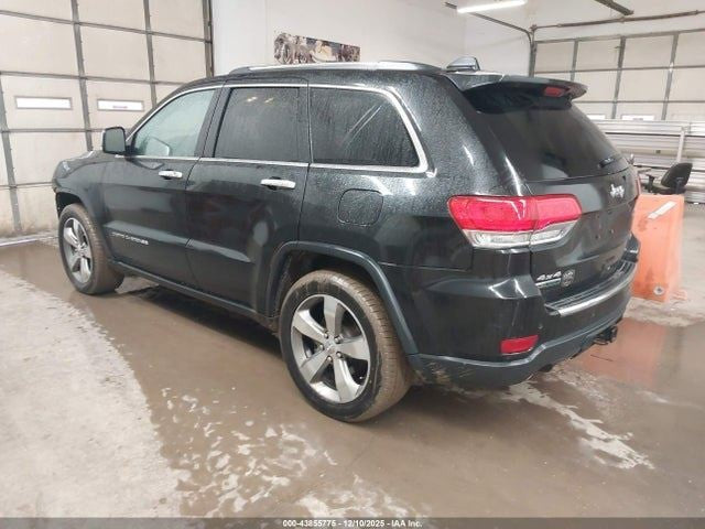 GRANDCHER 2014 Seat Belt Rear 1869509