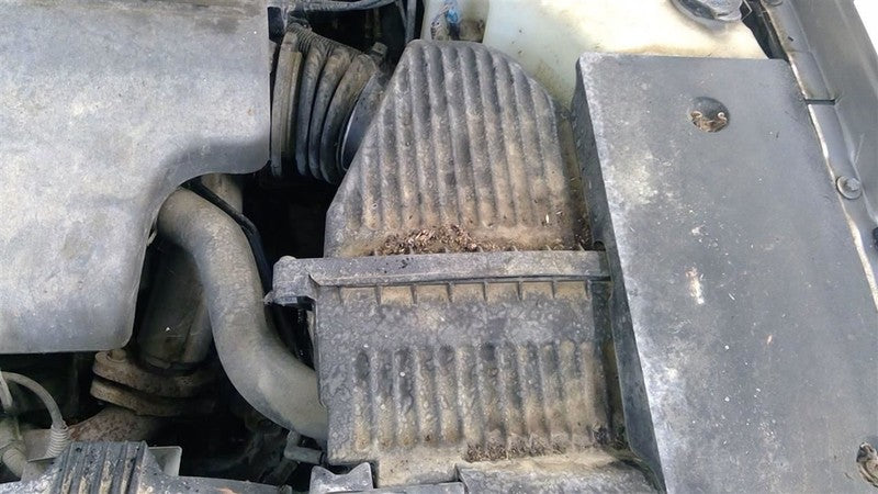 Engine 3.8L VIN K 8th Digit Fits 96-04 REGAL 1707399