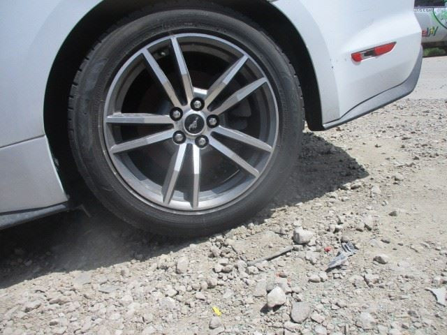 MUSTANG   2016 Front Door Trim Panel 1574147