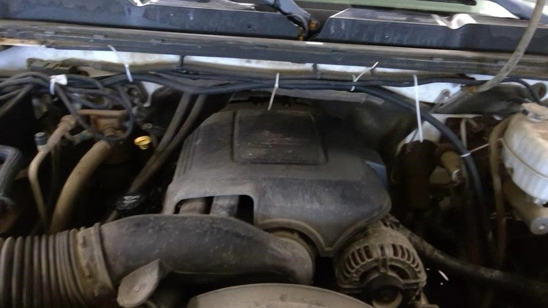 SILV25NEW 2007 Engine Cover 1923817