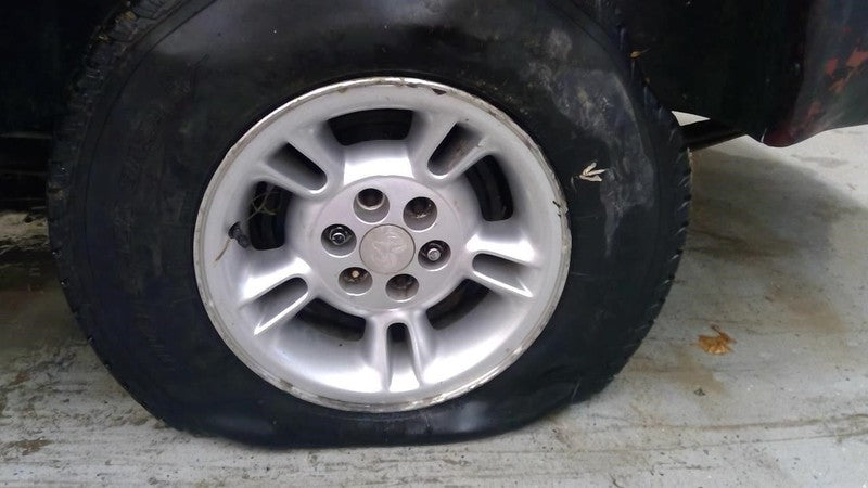 Carrier Front 3.55 Ratio Thru 9/11/00 Fits 00-01 DAKOTA 1730010