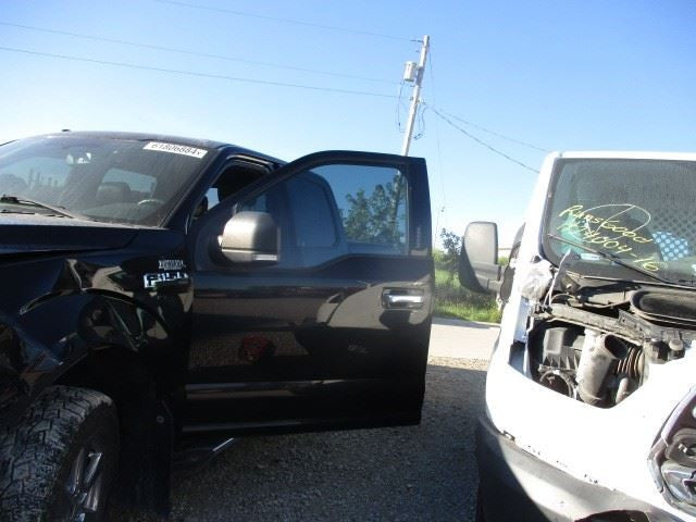 F150      2018 Front Door Trim Panel 1618747