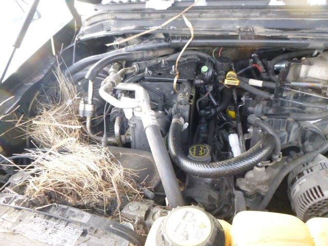Front Axle 4 Wheel ABS 4.10 Ratio Fits 01-05 EXCURSION 1233539