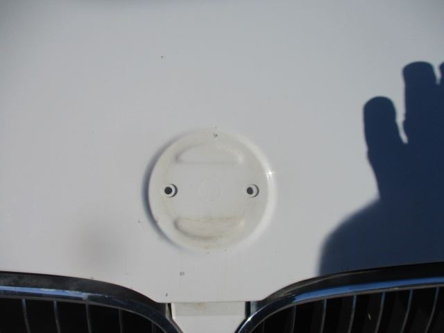 Passenger Grille Upper Bumper Mounted Fits 06-10 BMW 550i 1563597