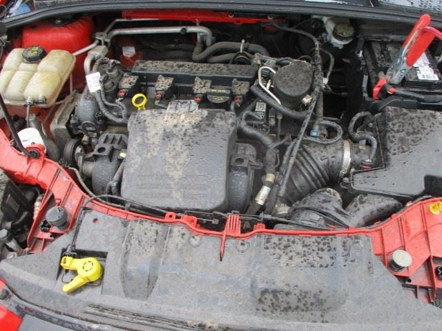 Driver Grille Cover Mounted Lower S Model Fits 12-14 FOCUS 1506104