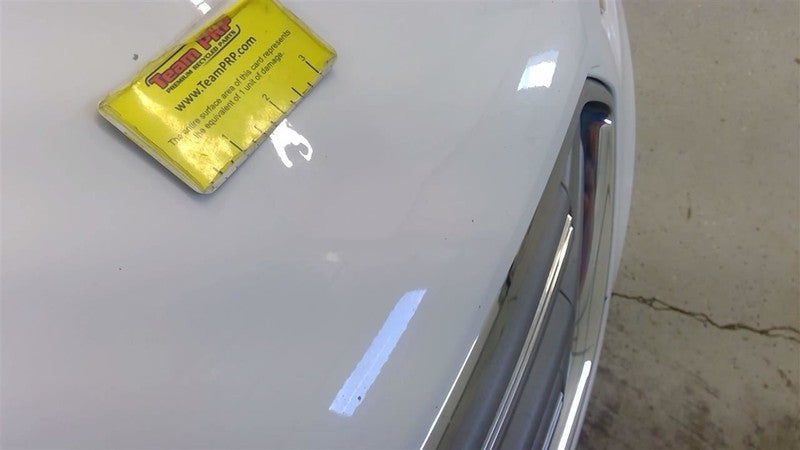 Driver Left Headlight Limited Halogen Fits 15-19 TAURUS 1660922
